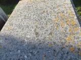 image of grave number 883380